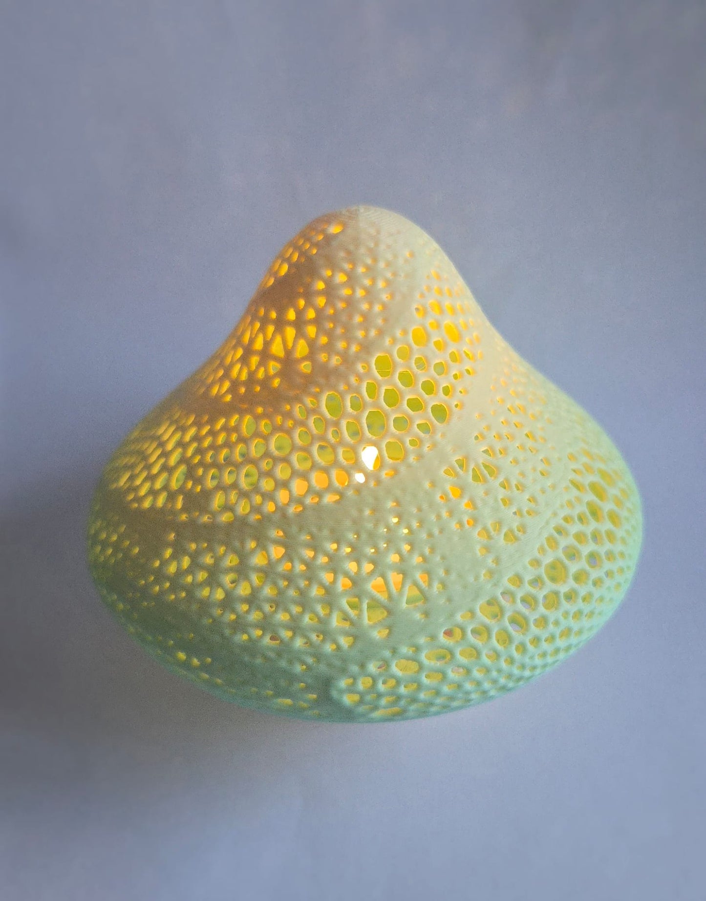 3D Mushroom Magic Light